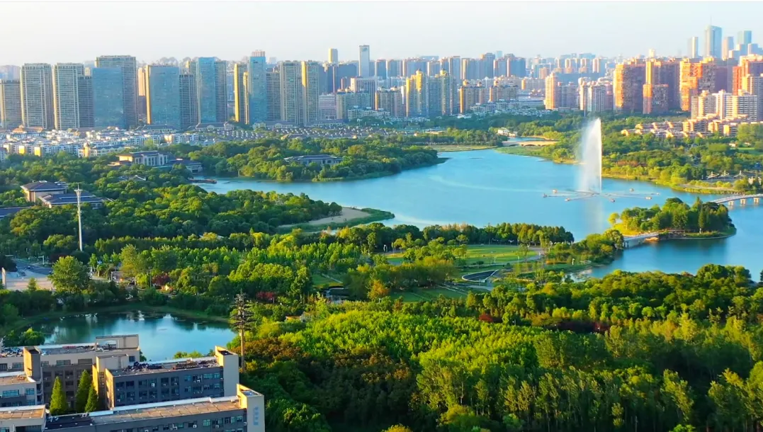 PP电子5金狮·(中国区)游戏官方网站